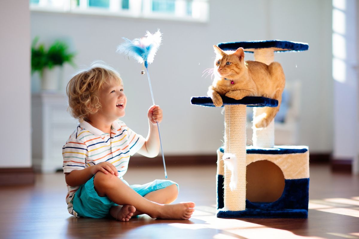Child playing with a kitten